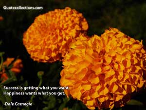 Dale Carnegie Quotes 4